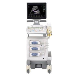 Hitachi Aloka Prosound F31